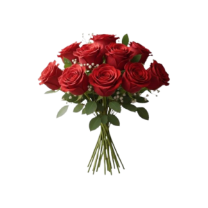 bouquet de 10 roses rouges