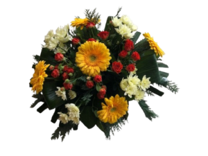 Coussin